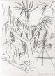 大竹伸朗画額「サボテンの木」/Shinro Ohtakeのサムネール