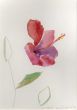 大竹伸朗画額「マラケシュ（花）2」/のサムネール