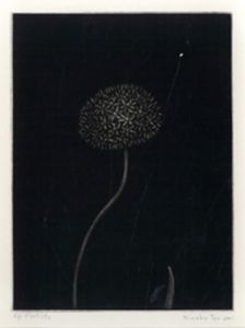 丹阿弥丹波子銅版画額「綿帽子」/のサムネール