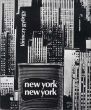 ロリンツィー・ギオルギー写真集　New York, New York/Lorinczy Gyorgyのサムネール