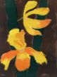 ベルナール・カトラン版画額「橙の花（仮題）」/Bernard Cathelinのサムネール