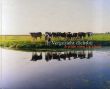 Vergezicht Dichtbij A Wide View Up Close/DEROO Wijnandaのサムネール