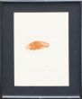 ヨーゼフ・ボイス版画額「Meerengel Spermwal」/Joseph Beuysのサムネール