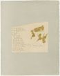 ヨーゼフ・ボイス版画額「Calf With Children」/Joseph Beuysのサムネール