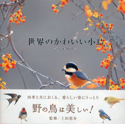 世界のかわいい小鳥 上田恵介監修 古書 古本 買取 神田神保町 池袋 夏目書房