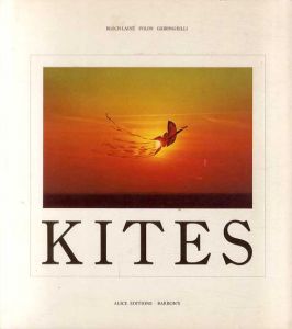 Kites/Jean-Michel Folon