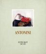 アントニーニ　カタログ・レゾネ　Antonini: Ceuvre Grave 1987-1993/のサムネール