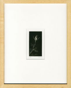 丹阿弥丹波子版画額「つぼみ」/Niwako Tanamiのサムネール