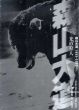 森山大道写真集　光の狩人　1965-2003/島根県立美術館のサムネール
