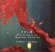 辻けい展　あかからあかへ。あるいは火と水/のサムネール
