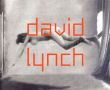デヴィッド・リンチ　David Lynch/Werner Spies編のサムネール