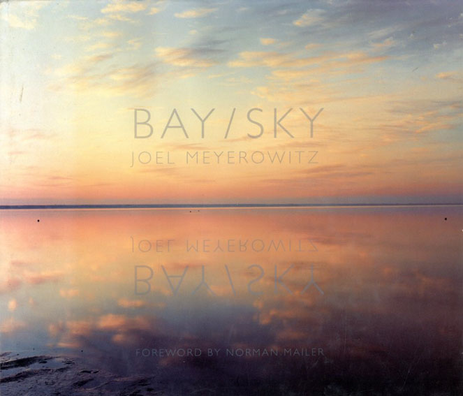 ジョエル・マイロウィッツ写真集 Joel Meyerowitz: Bay/Sky／Joel