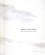 Great New Wave: Contemporary Art From Japan/Lisa Baldissera/Sara Knelmanのサムネール