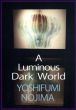 A Luminous Dark World　輝ける闇の世界　能島芳史展/能島芳史のサムネール