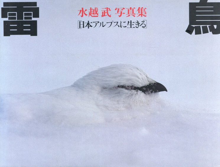 水越武写真集　雷鳥　日本アルプスに生きる／水越武