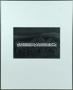 内藤忠行プリント額「Zebra」　#1/Tadayuki Naitoのサムネール