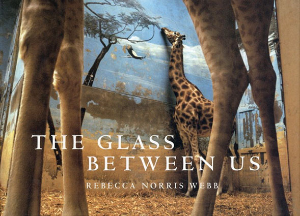 レベッカ・ノリス・ウェッブ写真集　The Glass Between Us: Reflections Of Urban Creatures／Rebecca Norris Webb
