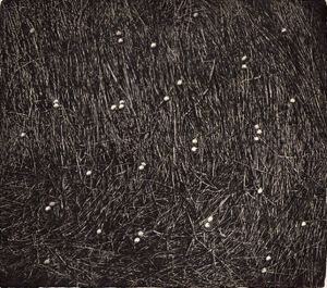 中林忠良版画「地-86 V」/Tadayoshi Nakabayashiのサムネール