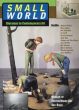 Small World: Dioramas In Contemporary Art/Toby Kampsのサムネール