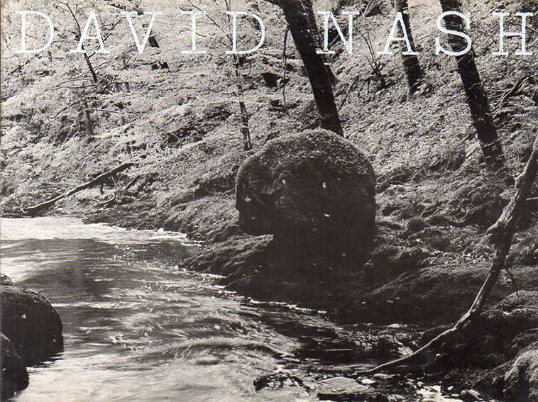 デイヴィッド・ナッシュ　樹のいのち、樹のかたち／David Nash