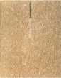 リチャード・ミズラック Richard Misrach: Chronologies/Richard Misrachのサムネール