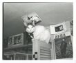 写真私情主義/荒木経惟のサムネール