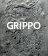 ビクター・グリッポ　Grippo: Una Retrospectiva. Obras 1971-2001/Victor Grippoのサムネール