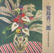 児島善三郎　日本的油彩画の創造者/のサムネール