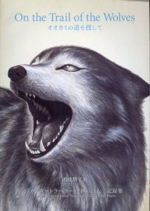 オオカミの道を捜して 鴻池朋子展「インナートラベラー12匹の詩人」記録集/のサムネール
