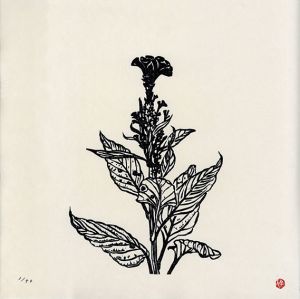白い秋/堀越保二のサムネール