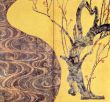 MOA美術館 名品図録 総合篇/MOA美術館編のサムネール