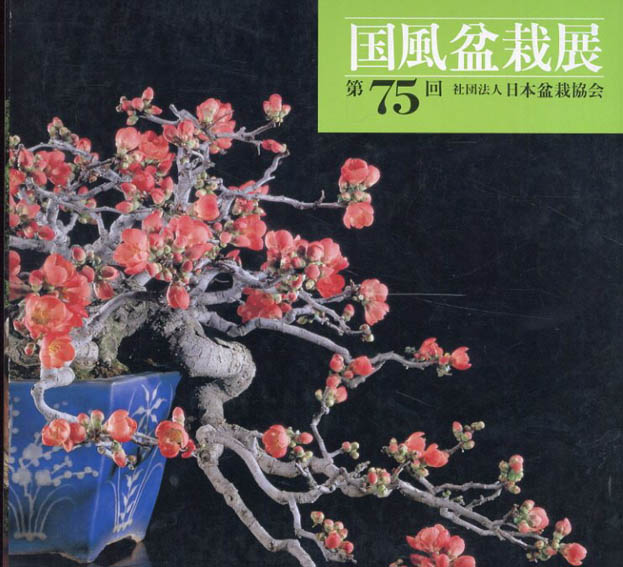 第75回　国風盆栽展
／