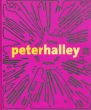 ピーター・ハリー　Peter Halley: Maintain Speed/David Rimanelli/Cory Reynolds編のサムネール