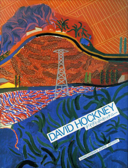 デイヴィッド・ホックニー　David Hockney(Shinchosha's Super Artists)／デイヴィッド・ホックニー