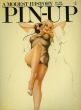 ピンナップ　The Pin Up: A Modest History/Mark Gaborのサムネール
