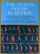 The Human Figure in Motion /Eadweard Muybridgeのサムネール