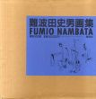 難波田史男画集/難波田史男のサムネール
