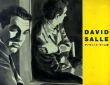 ディヴィッド・サーレ展/David Salleのサムネール