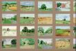 ディヴィッド・ホックニー　ポストカード36枚揃　David Hockney: Midsummer: East Yorkshire - Complete Postcard Collection (36 cards)/ディヴィッド・ホックニーのサムネール