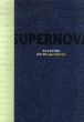Supernova: Art of the 1990s from the Logan Collection/Madeleine Grynsztejn　San Francisco Museum of Modern Artのサムネール