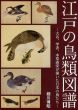 江戸の鳥類図譜　大名、学者、本草画家が描いた日本の鳥たち/細川博昭のサムネール