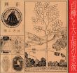 「白樺」と大正期の美術/のサムネール