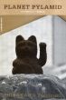 2000年後のピラミッド　柴川敏之展/柴川敏之のサムネール