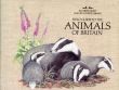 Field Guide to the Animals of Britain (Nature Lover's Library)/Reader's Digestのサムネール