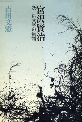 宮沢賢治　妖しい文字の物語／吉田文憲