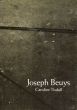 ヨーゼフ・ボイス　Joseph Beuys/Caroline Tisdall のサムネール