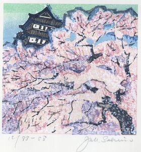 「桜（弘前）　花物語四月」/関野準一郎のサムネール