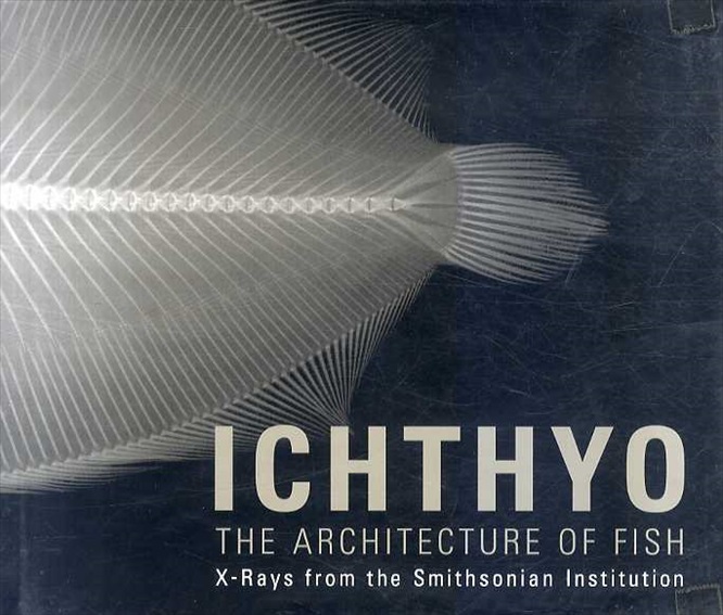 Ichthyo: The Architecture of Fish／Deborah Klochko/Stephanie Comer/Jean-Michel Cousteau/Dr. Daniel Pauly/Dr. Lynne R. Parenti　Stephanie Comer/Jean-Michel Cousteau/Daniel Pauly/Lynne R. Parenti/Sandra J. Raredon