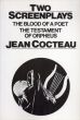 Two Screenplays: The Blood of a Poet/The Testament of Orpheus　ジャン・コクトー　詩人の血/オルフェの遺言/Jean Cocteauのサムネール