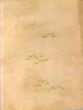 天皇皇后両陛下米国御訪問記念御物展図録　art treasures from the imperial collections/のサムネール